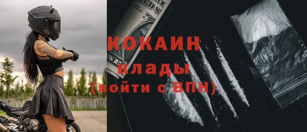 индика Ладушкин