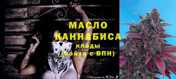 индика Ладушкин