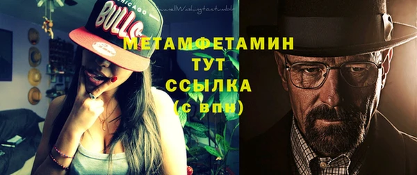 индика Ладушкин