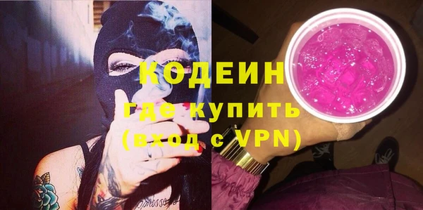 индика Ладушкин