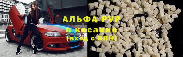 мяу мяу мука Магадан