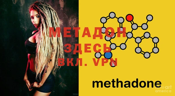 индика Ладушкин